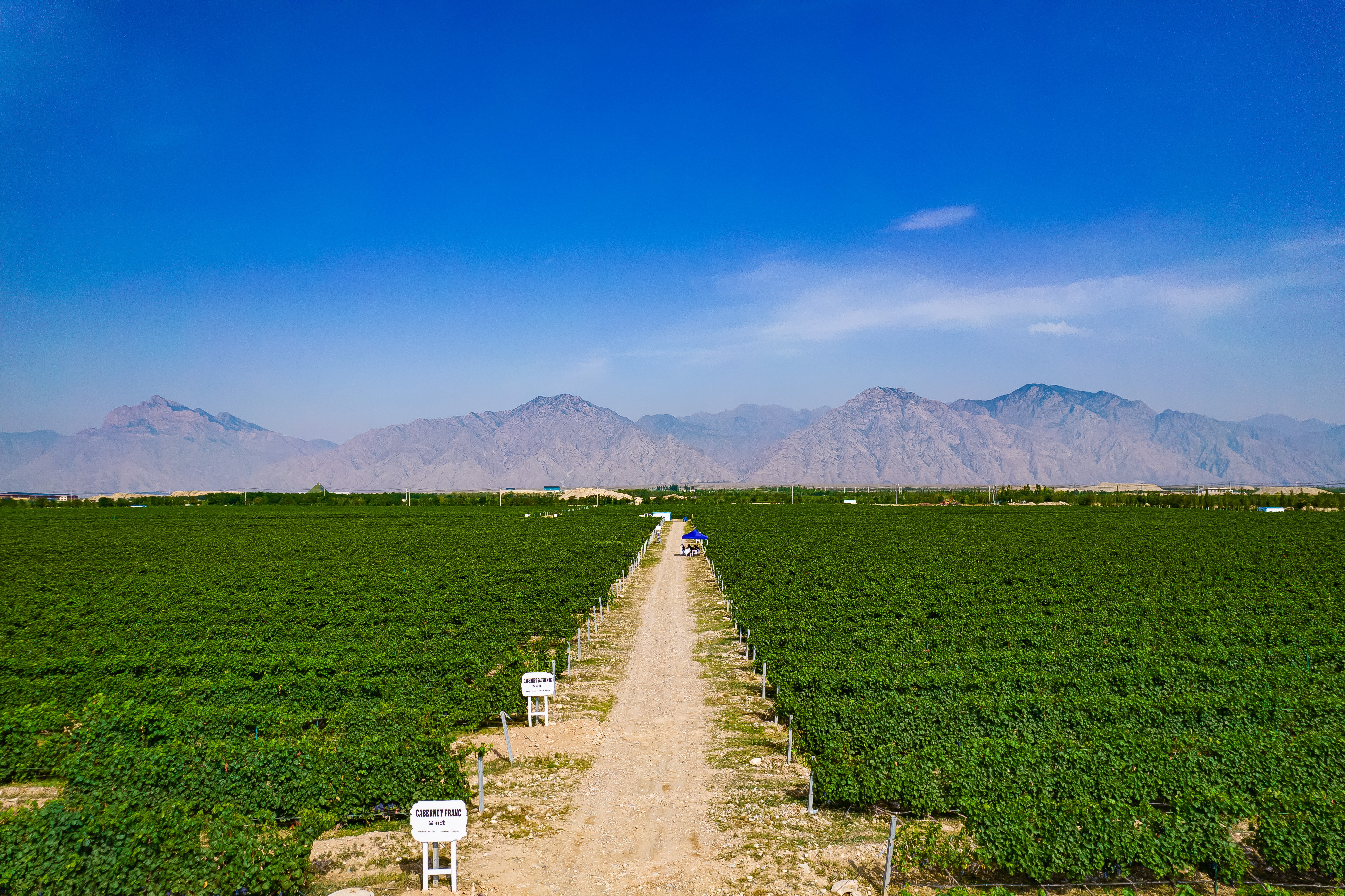 DJI_0225.jpg