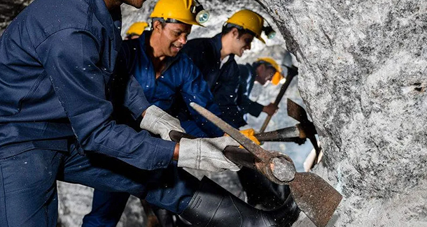 业务广泛 多元发展